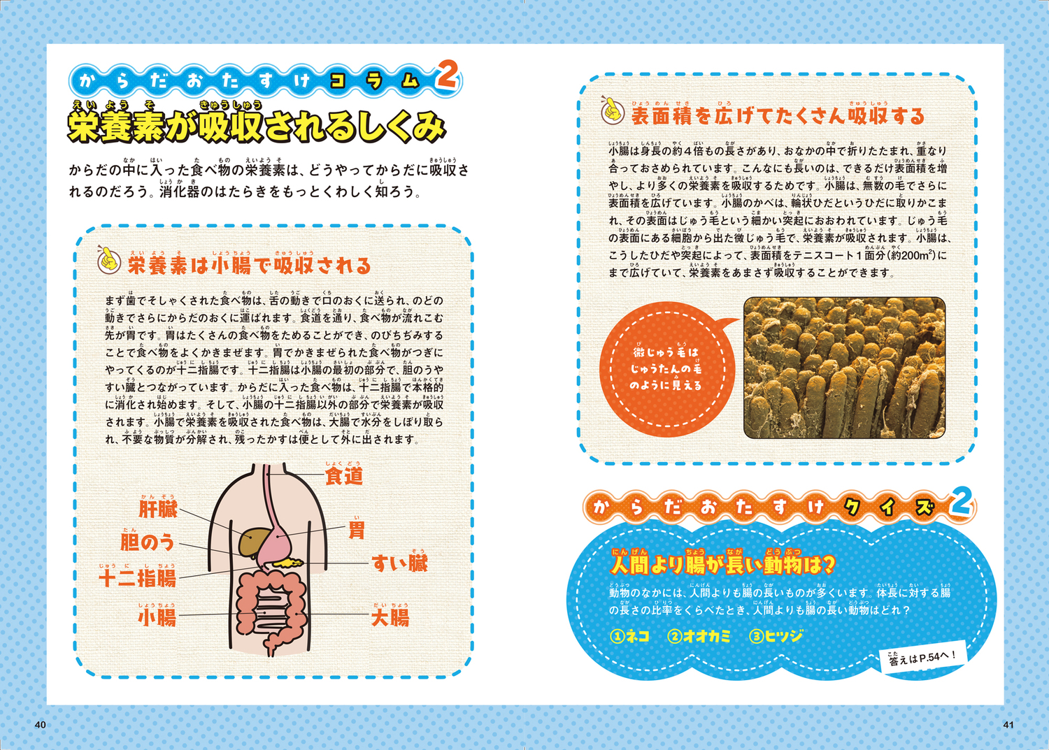 サムネイル画像4