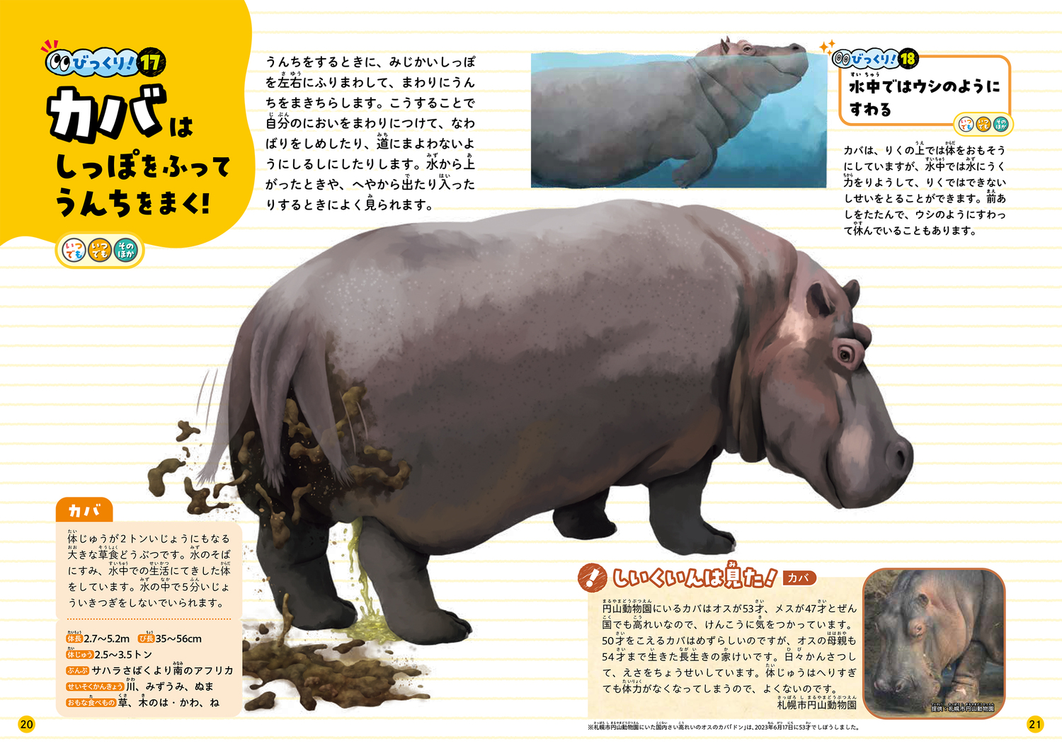 サムネイル画像4