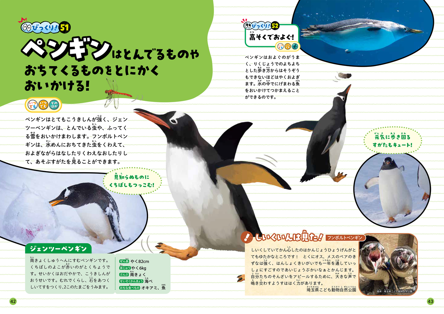 サムネイル画像6