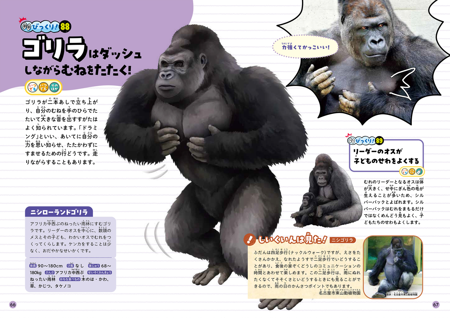 サムネイル画像7