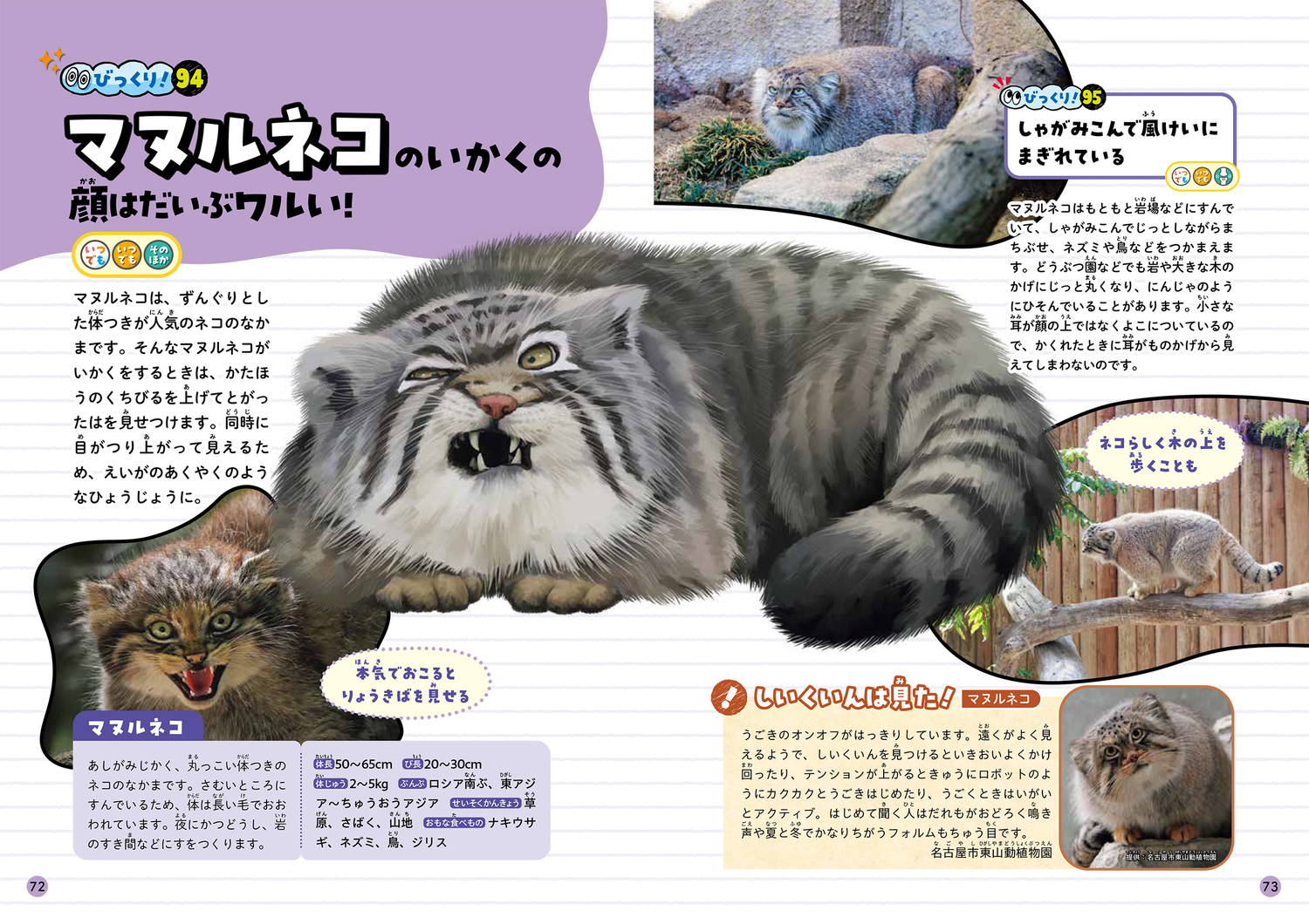 サムネイル画像8