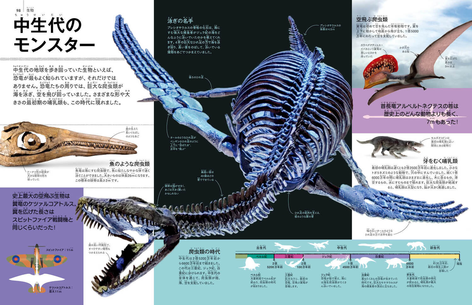 サムネイル画像1