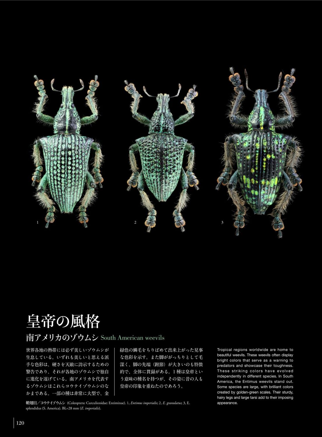 サムネイル画像2