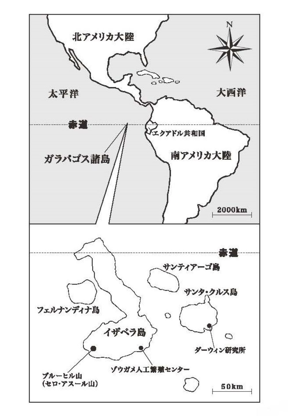 サムネイル画像3