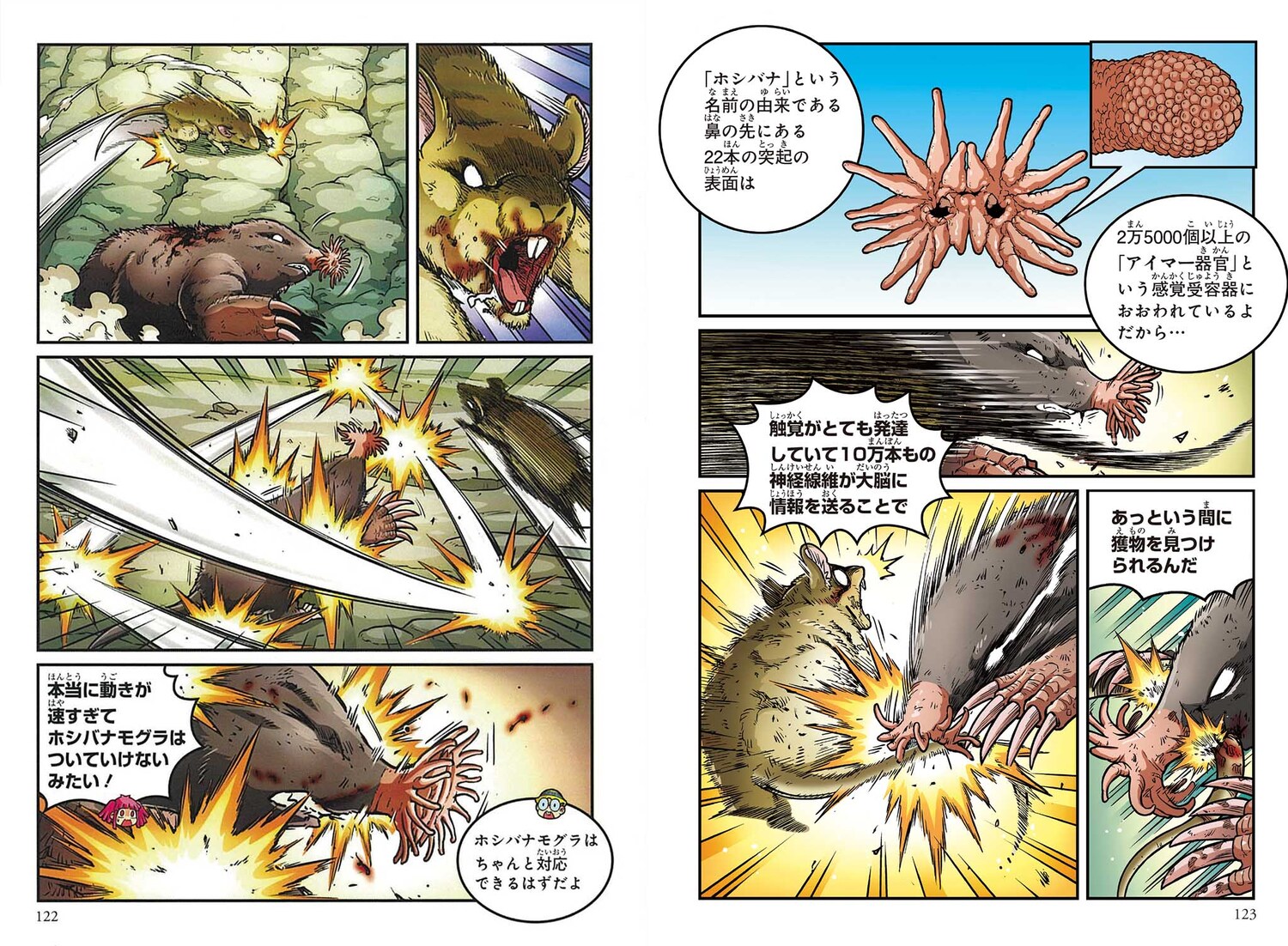 サムネイル画像4