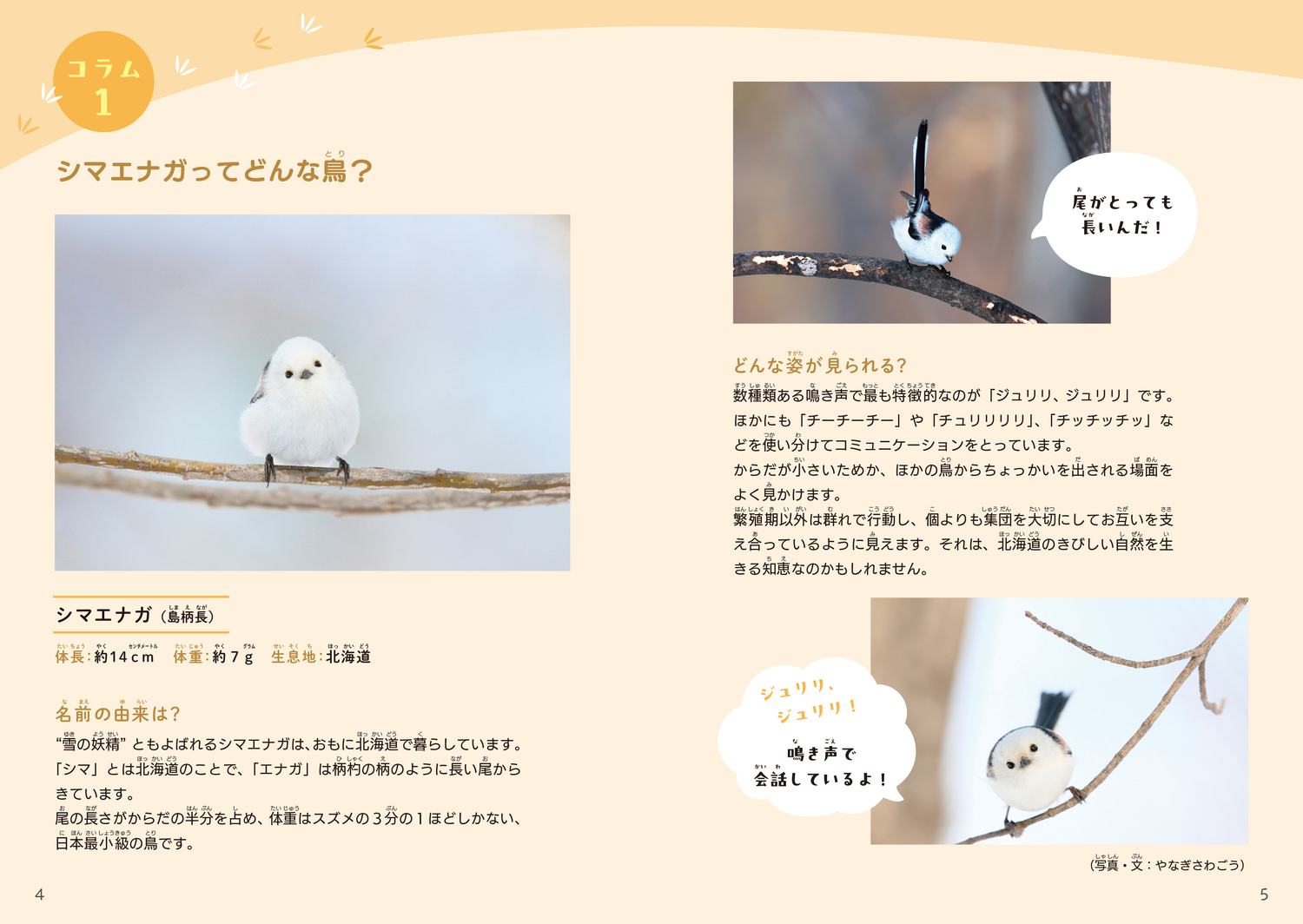 サムネイル画像3