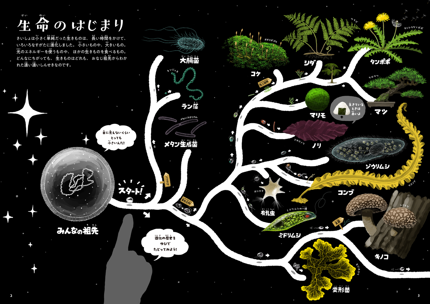 サムネイル画像1