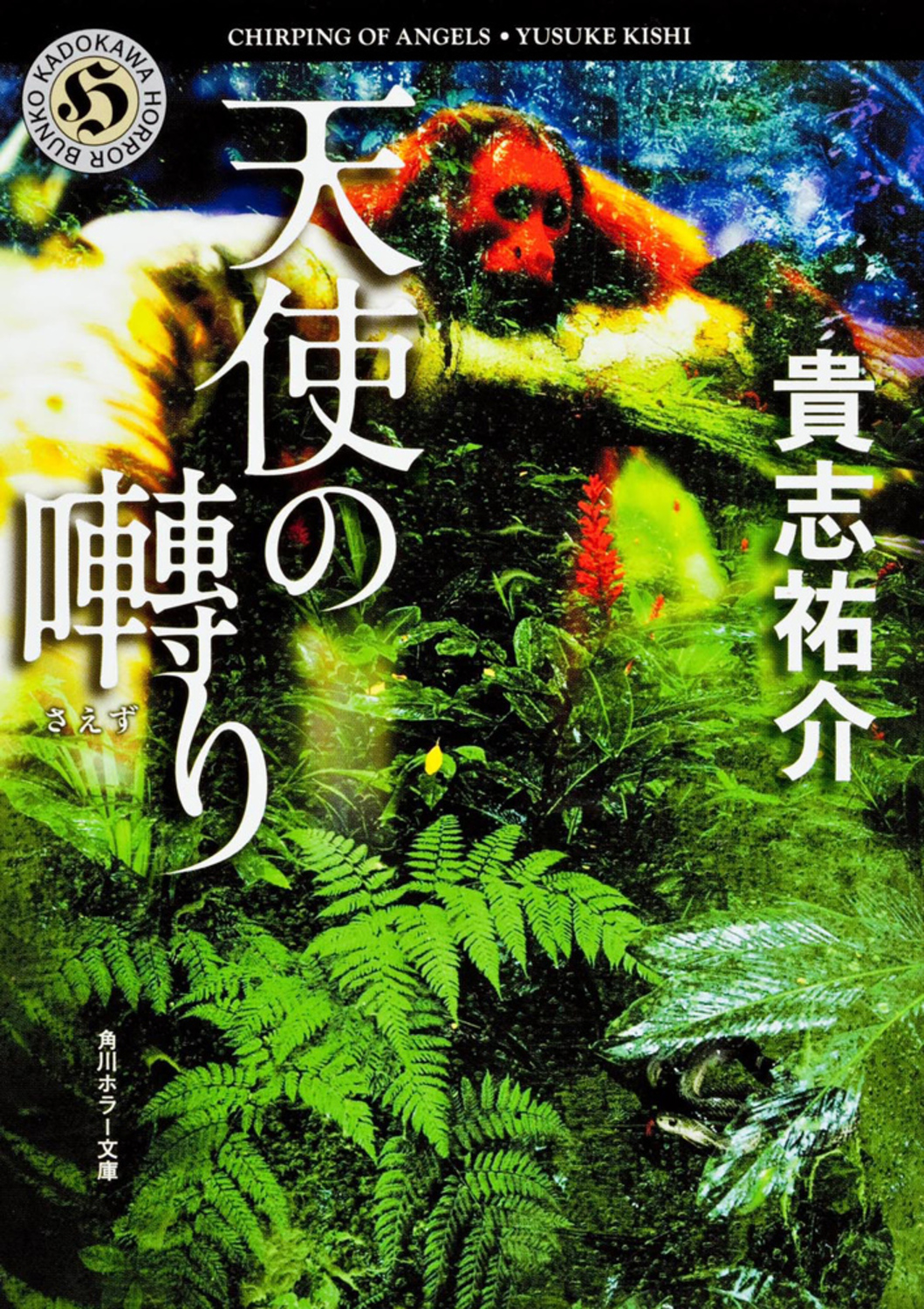 メイン画像