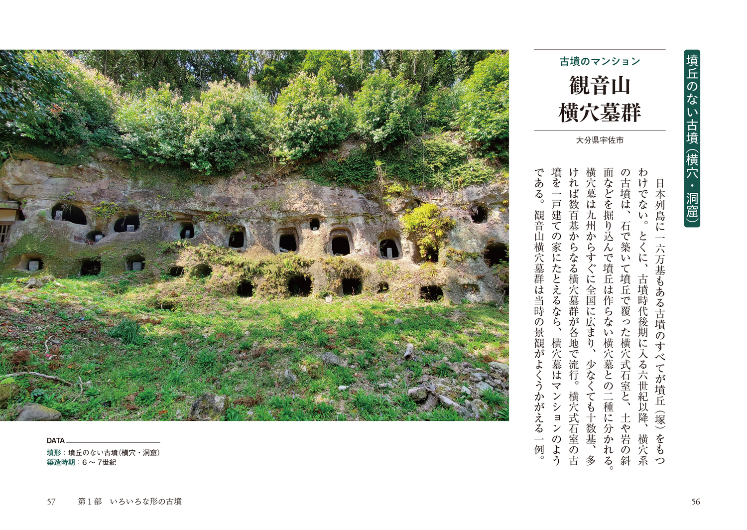サムネイル画像5
