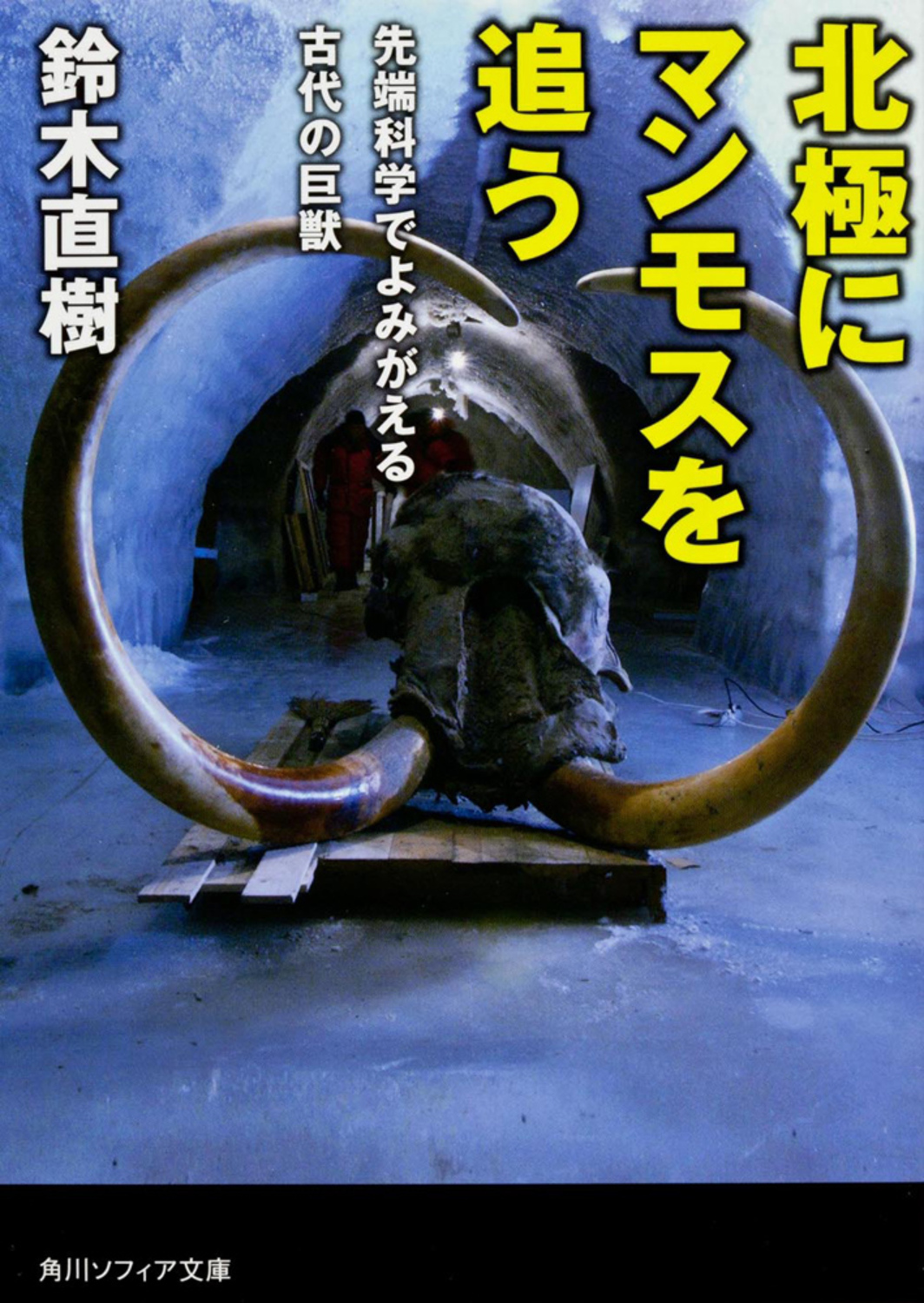 メイン画像