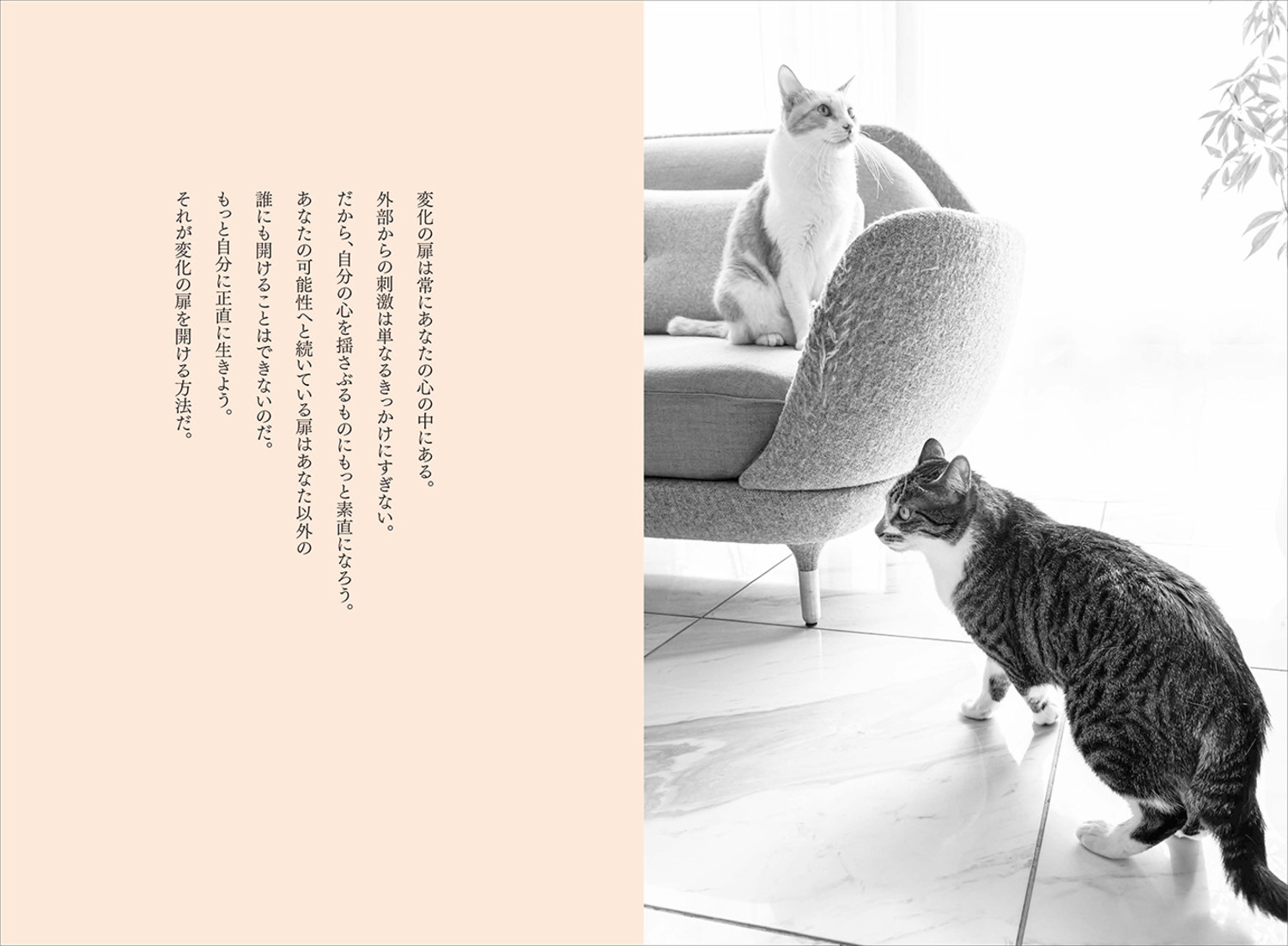 サムネイル画像2