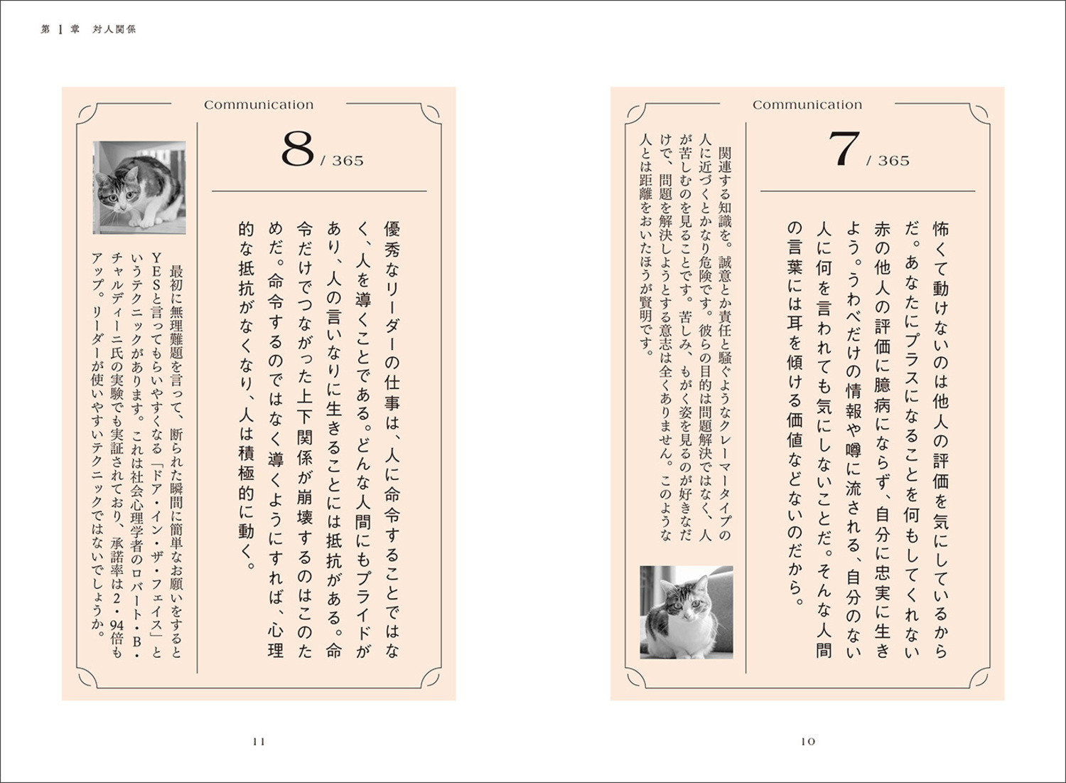 サムネイル画像5