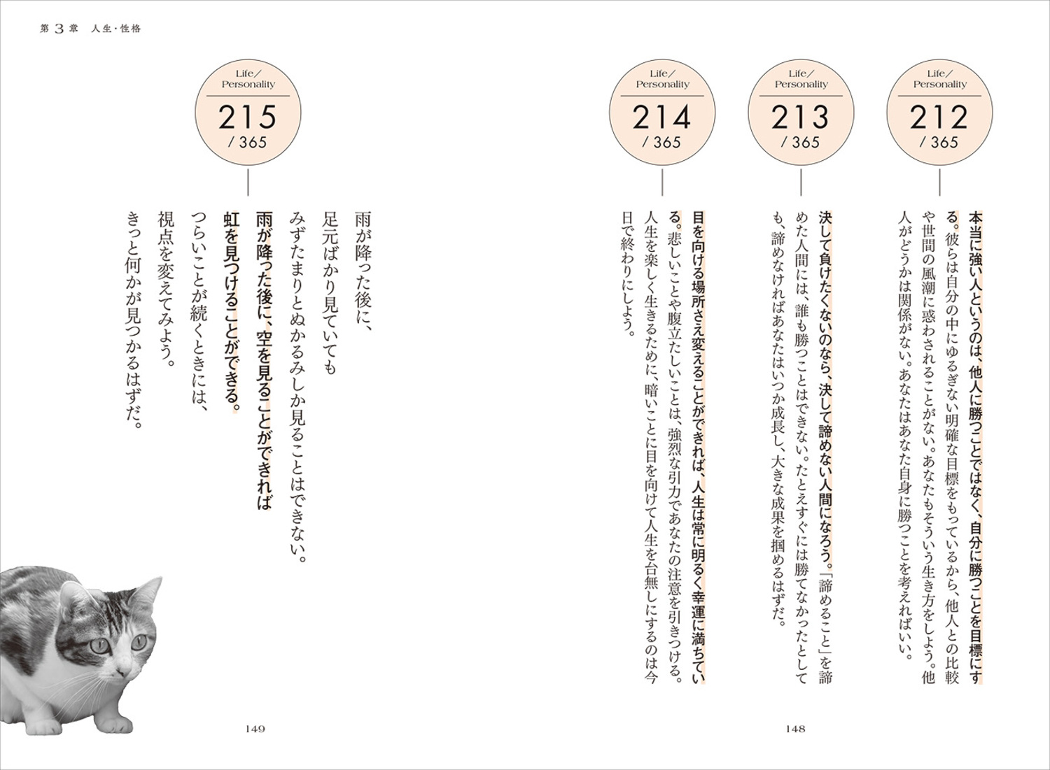 サムネイル画像7
