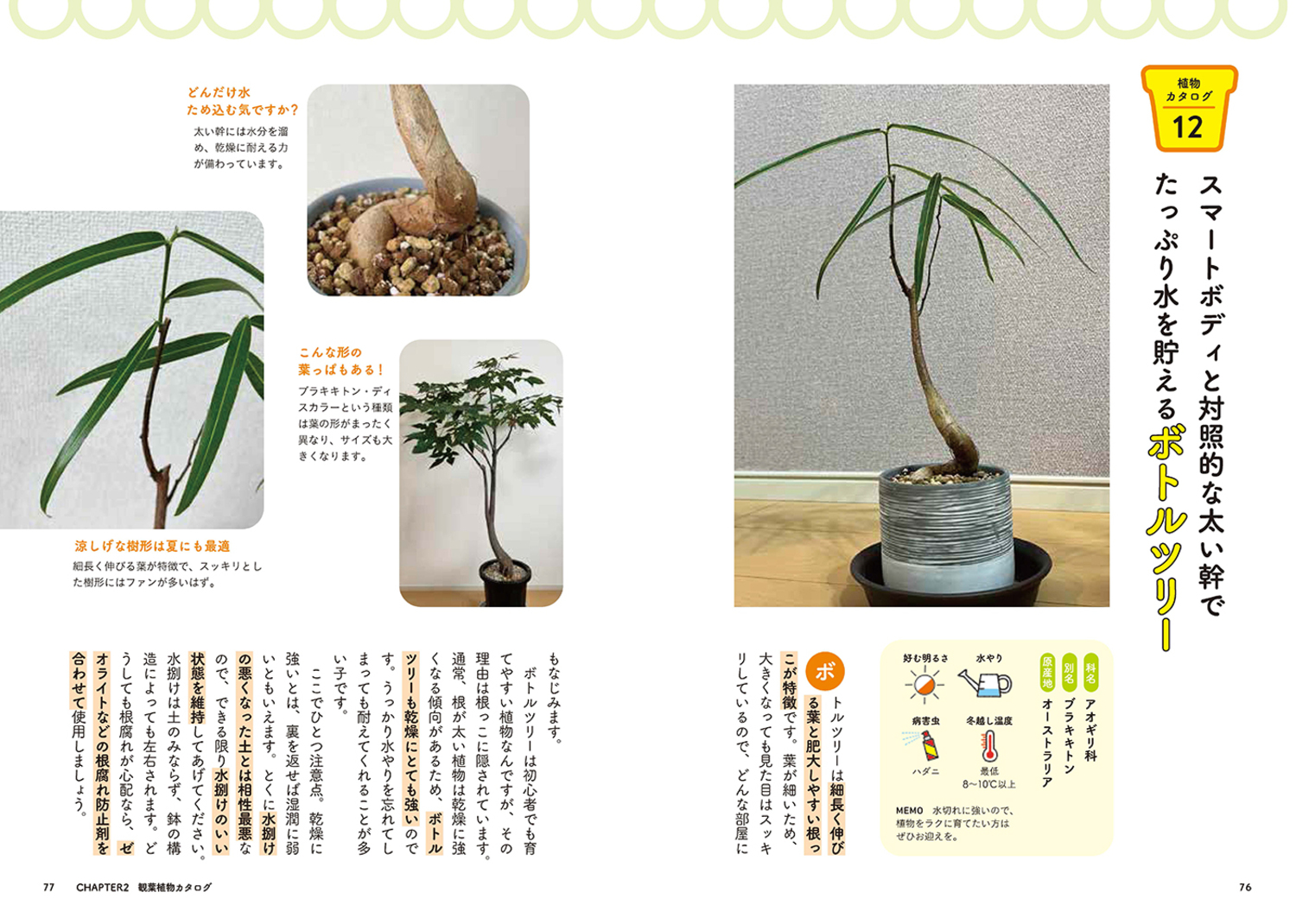 サムネイル画像5