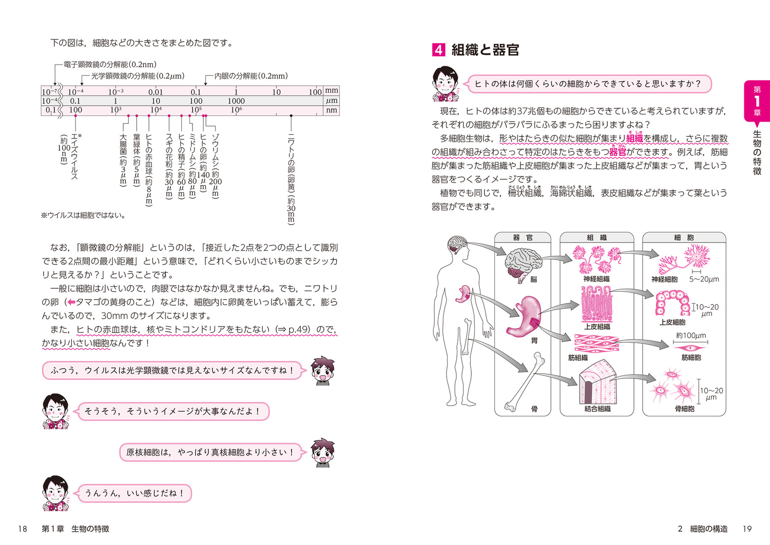 サムネイル画像7