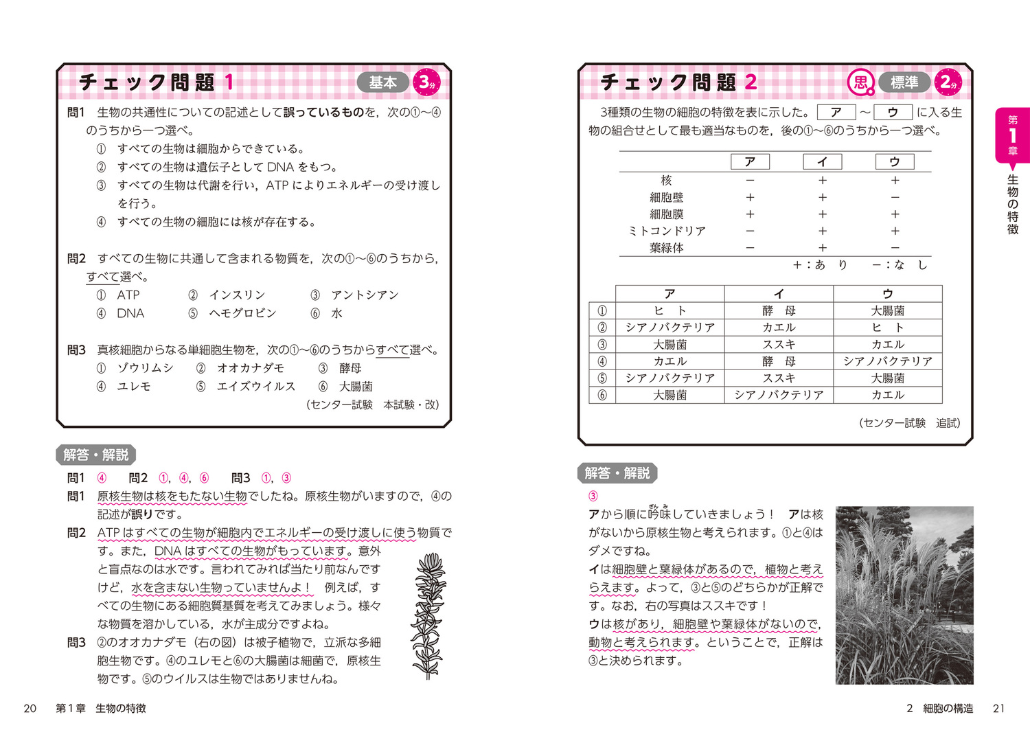サムネイル画像8