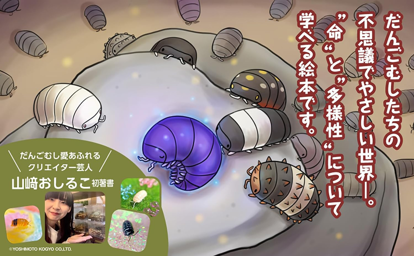 サムネイル画像5