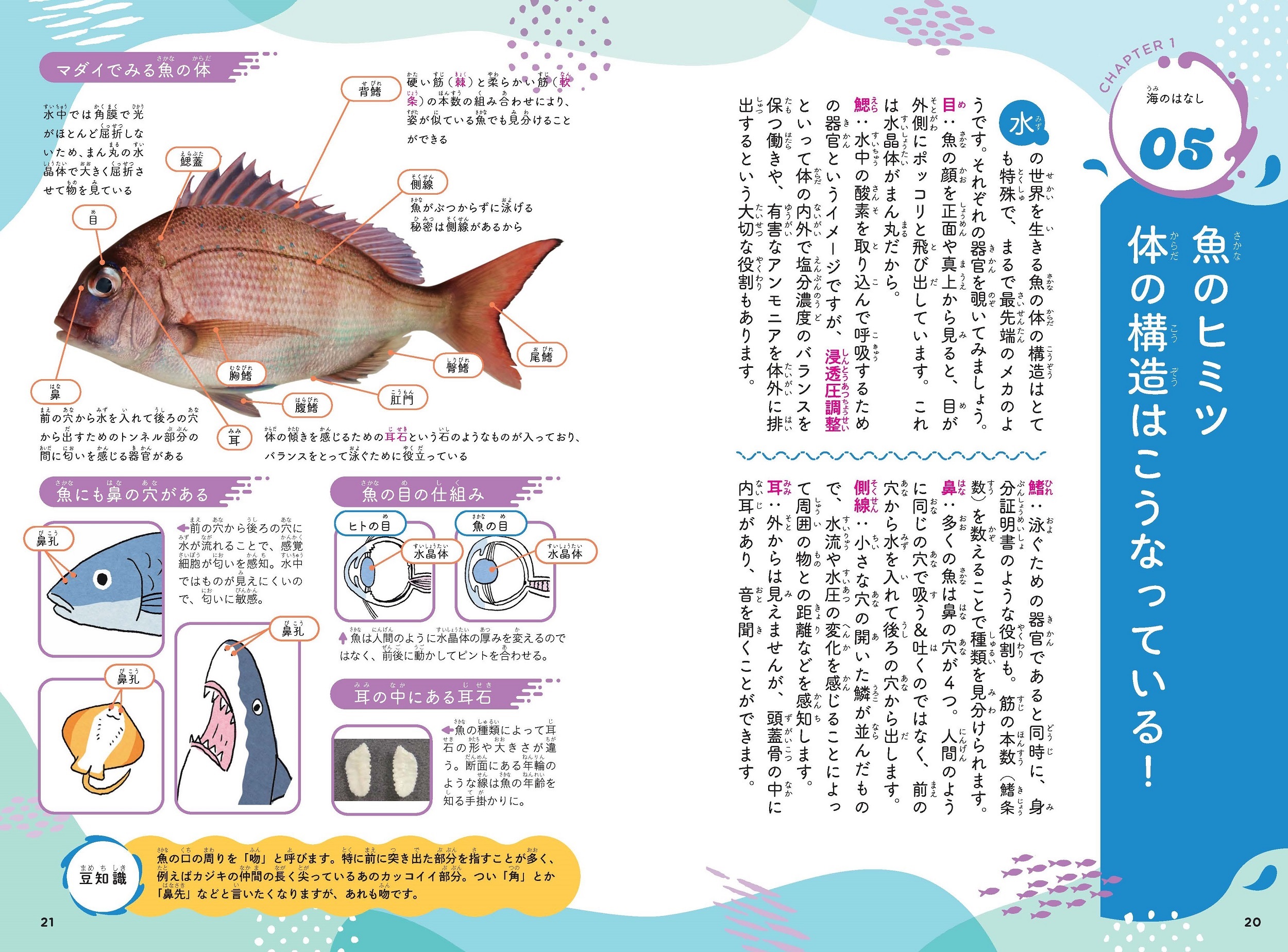サムネイル画像4