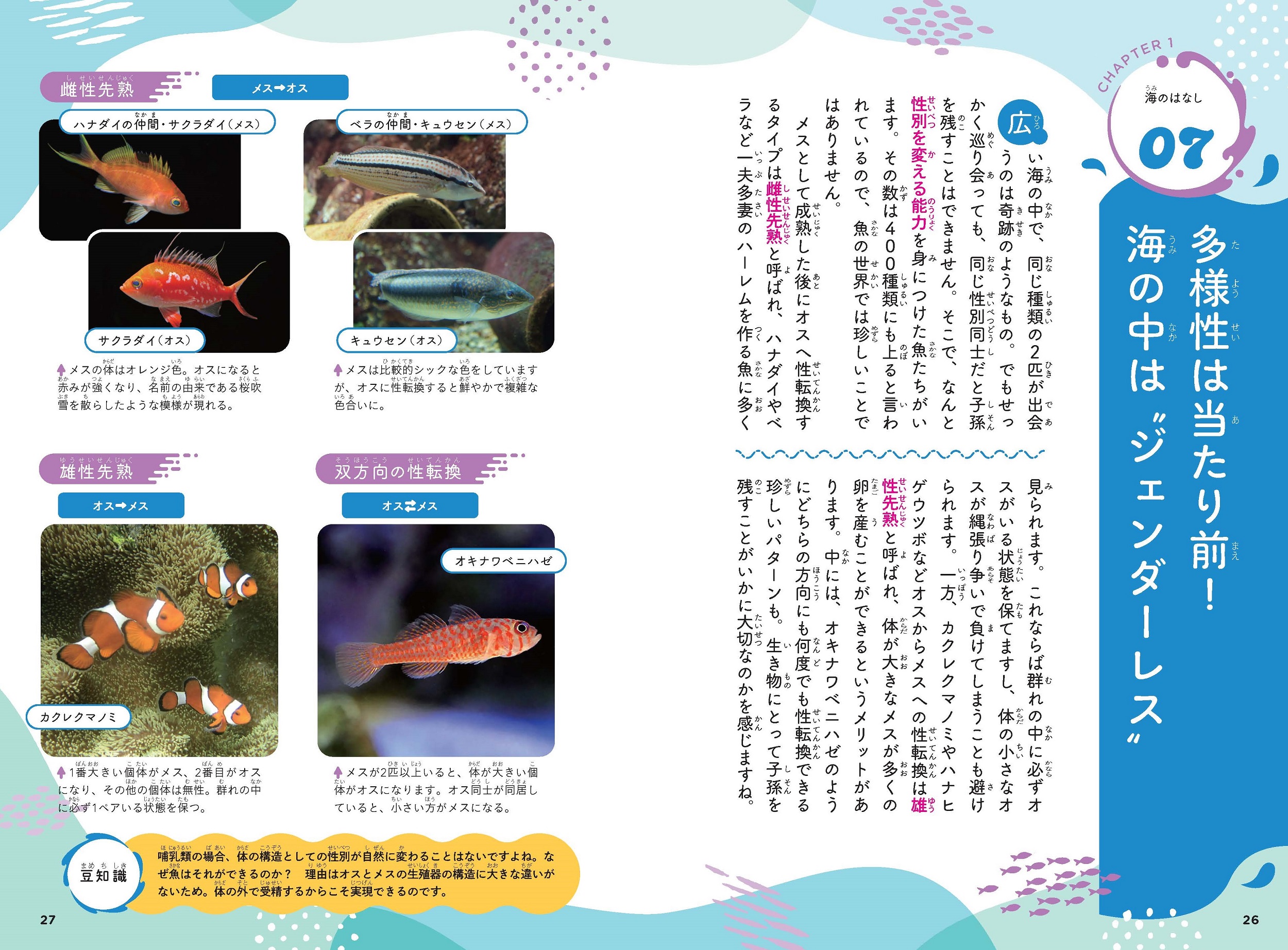 サムネイル画像5