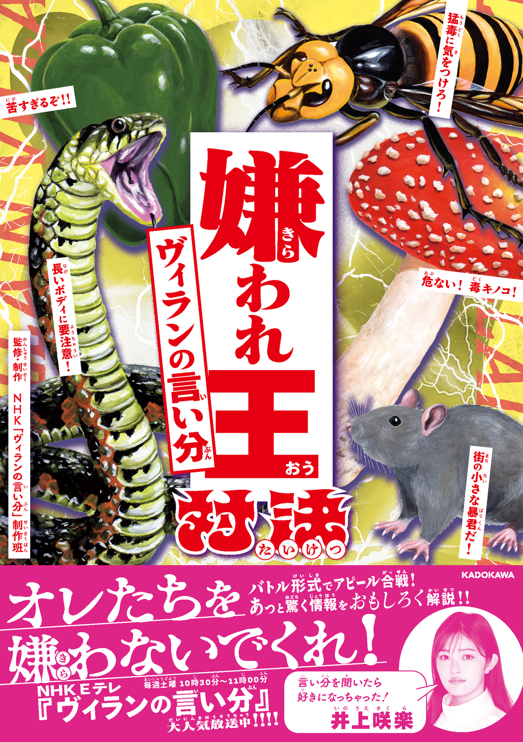 メイン画像