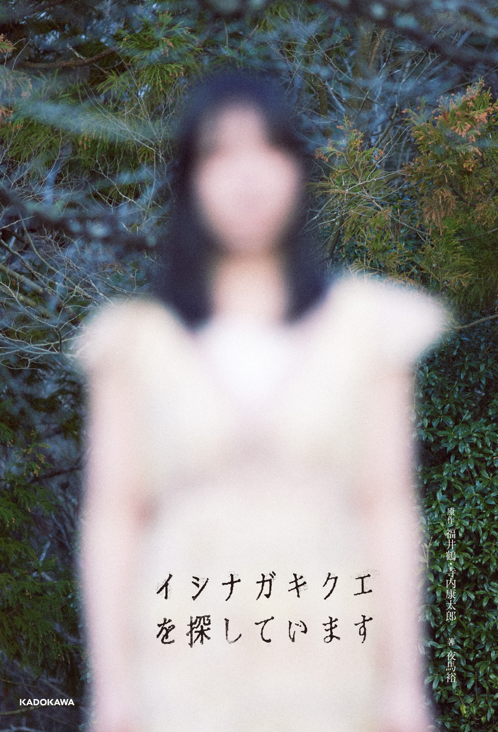 メイン画像