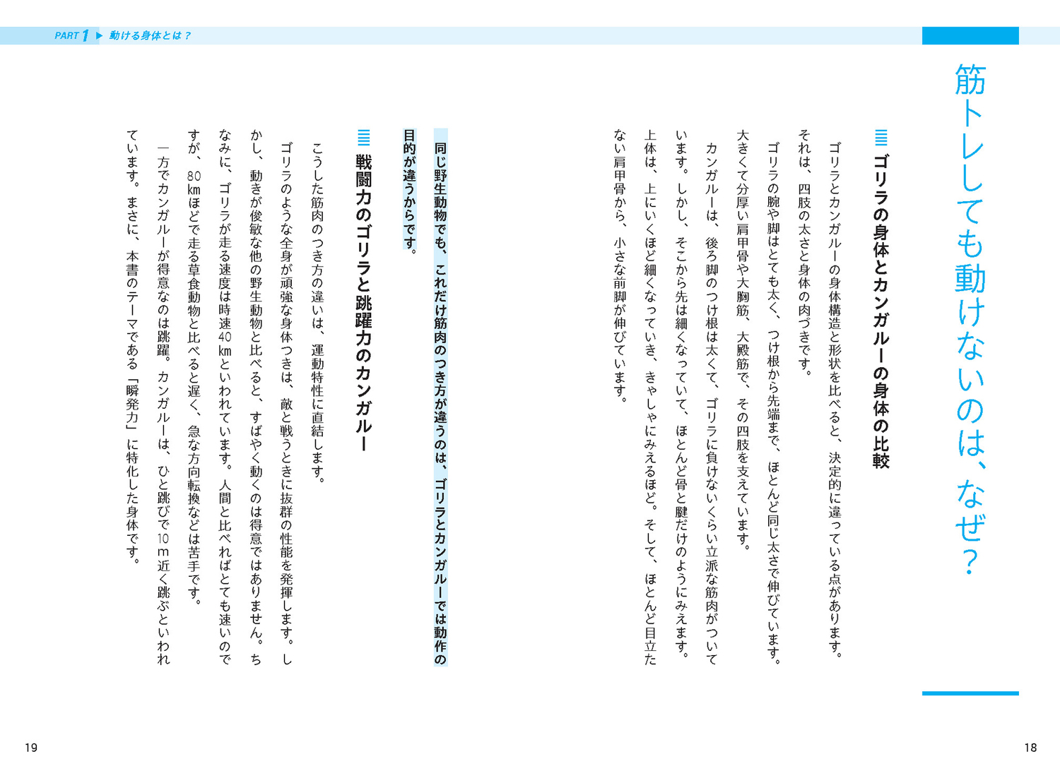 サムネイル画像6