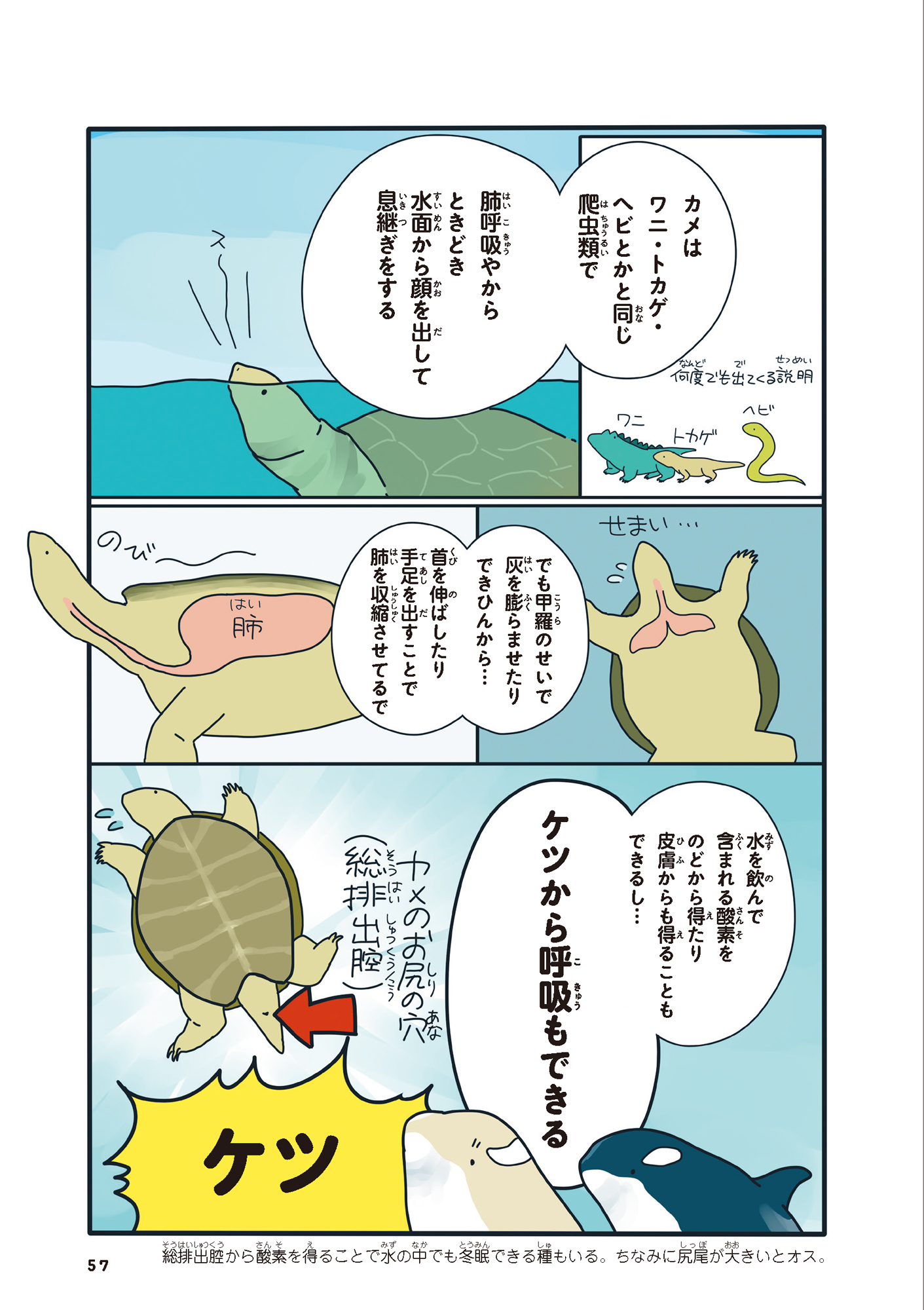 サムネイル画像3