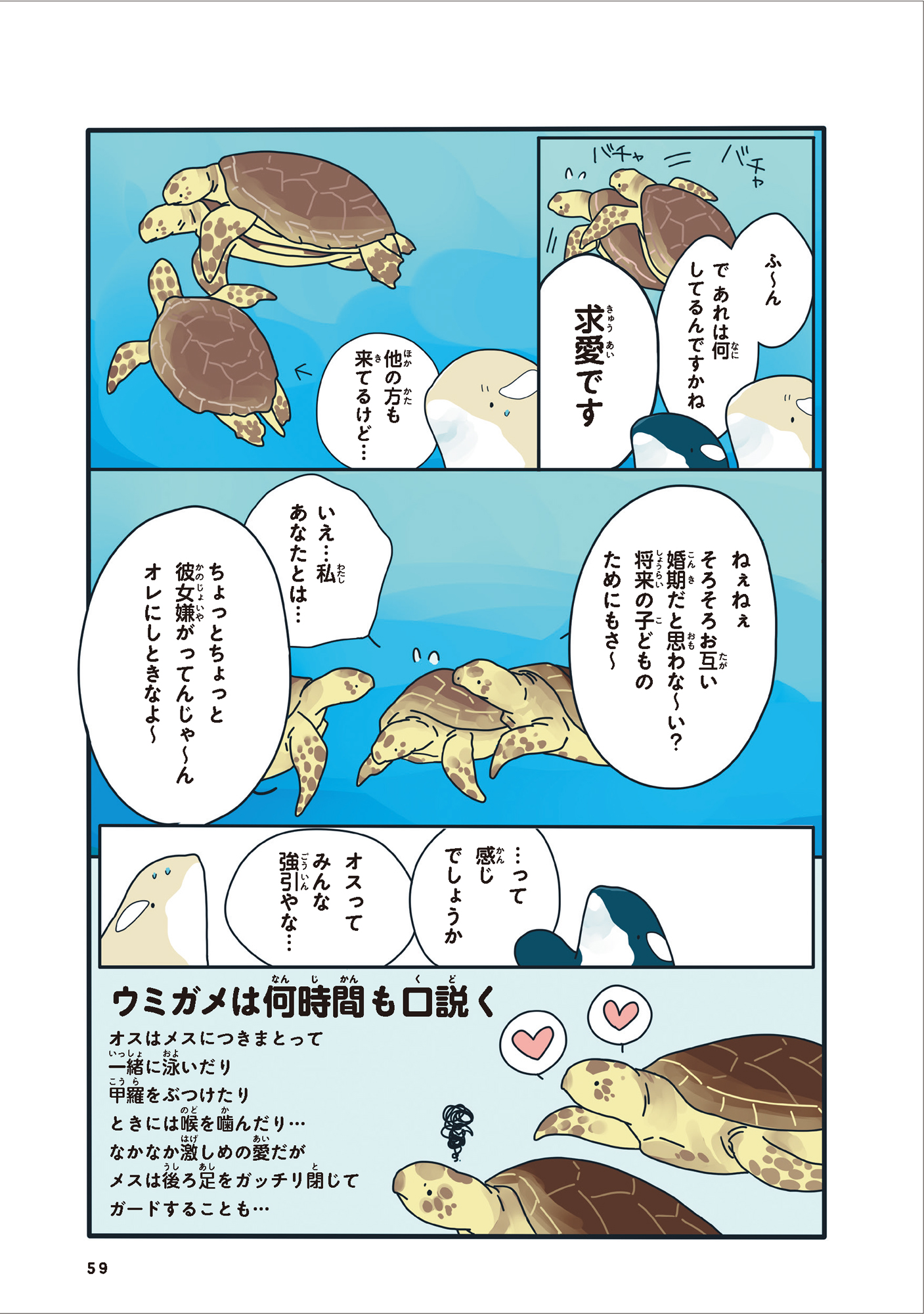 サムネイル画像5