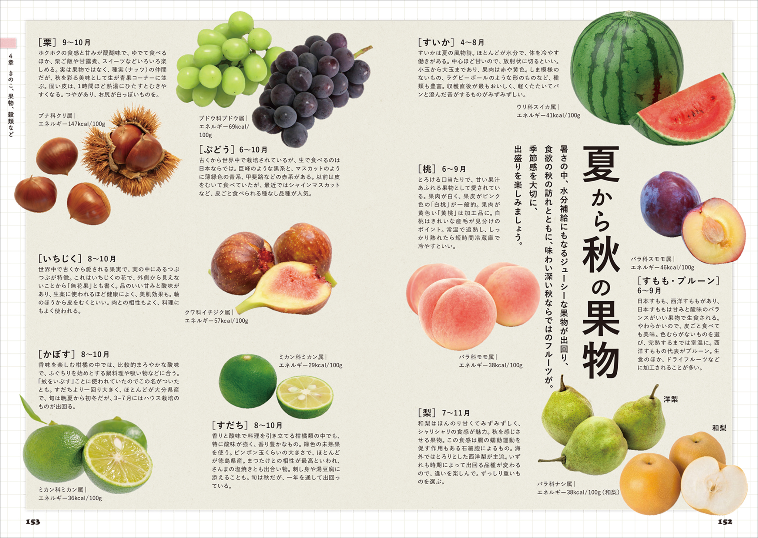 サムネイル画像5