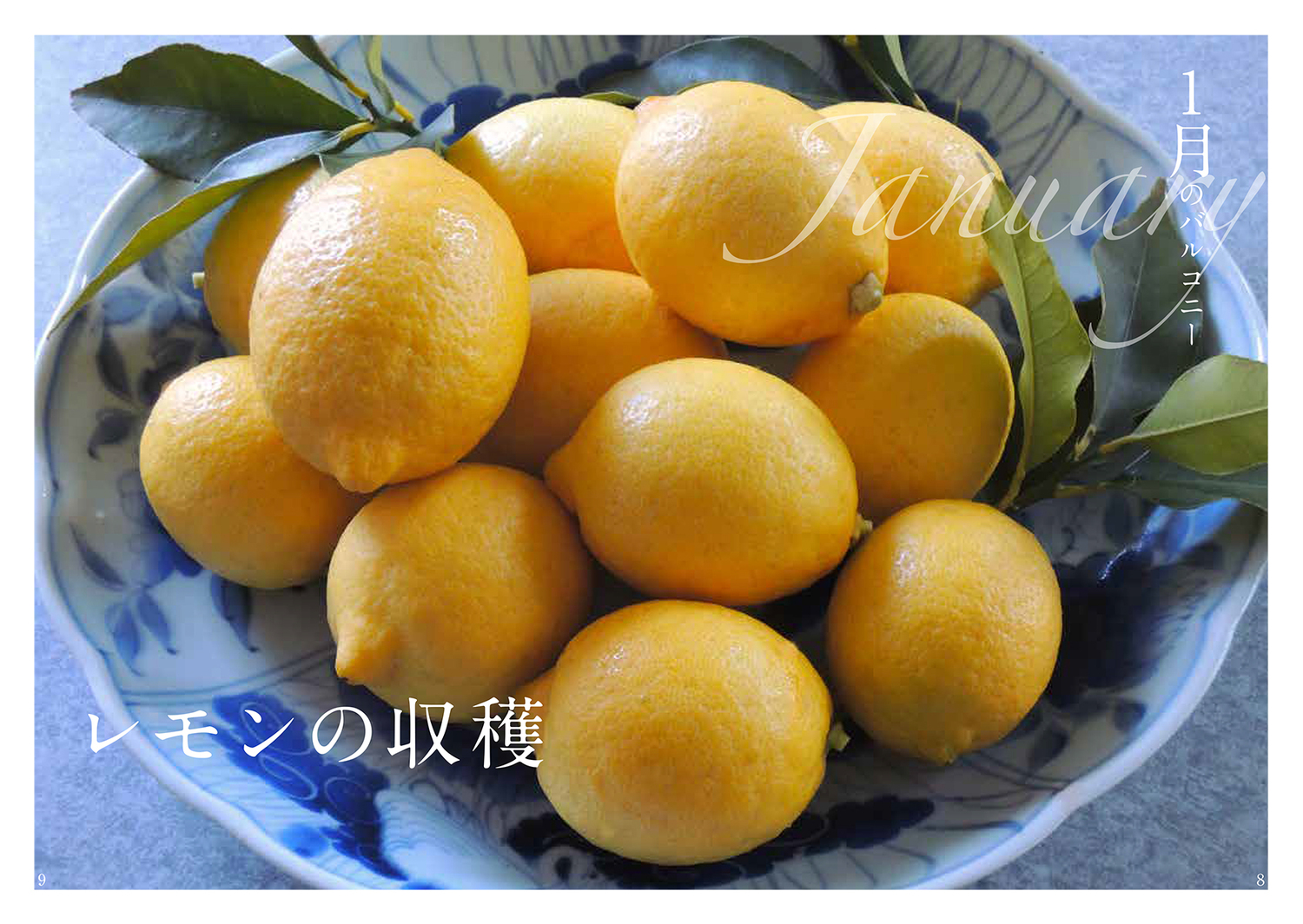 サムネイル画像5