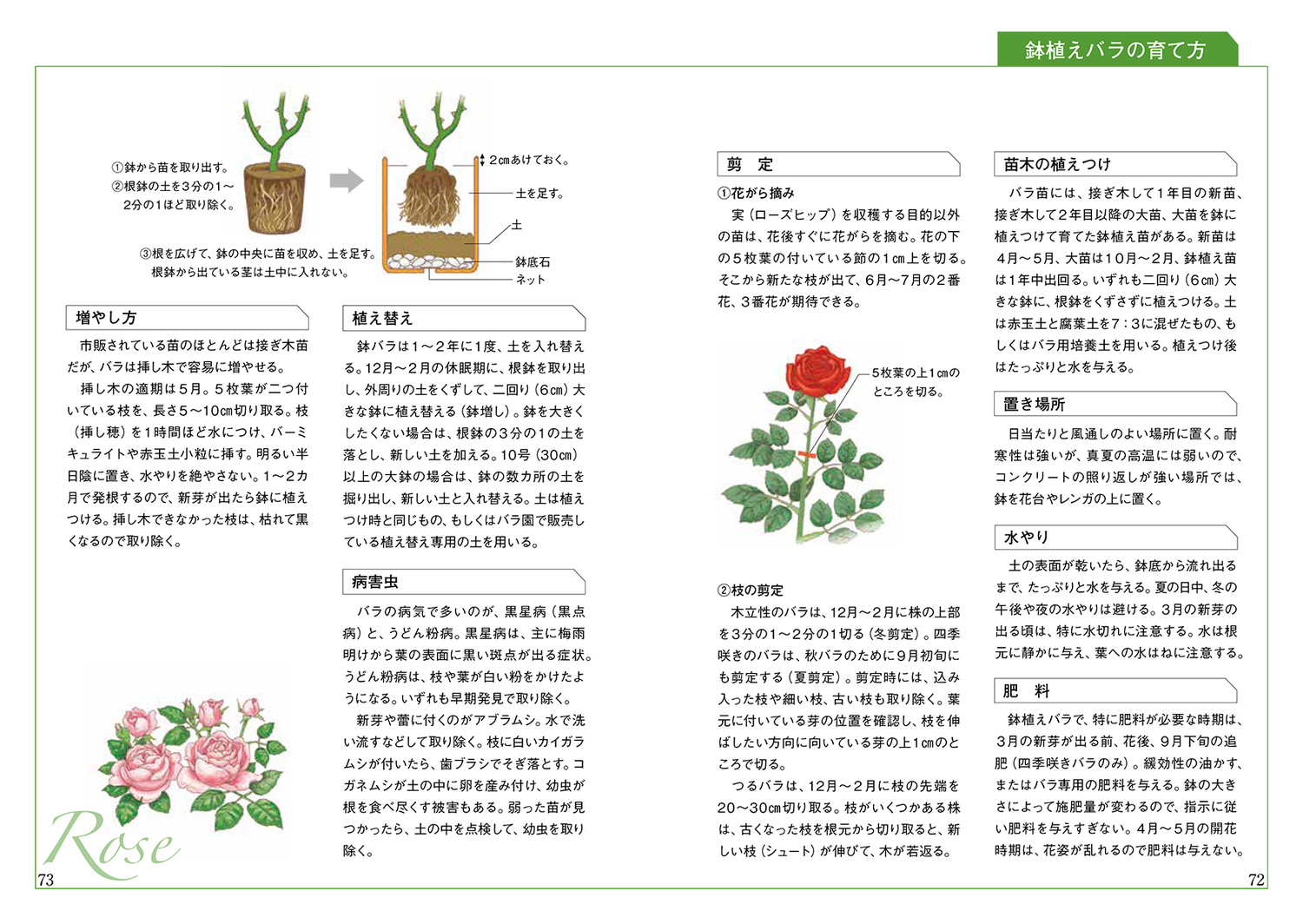 サムネイル画像6
