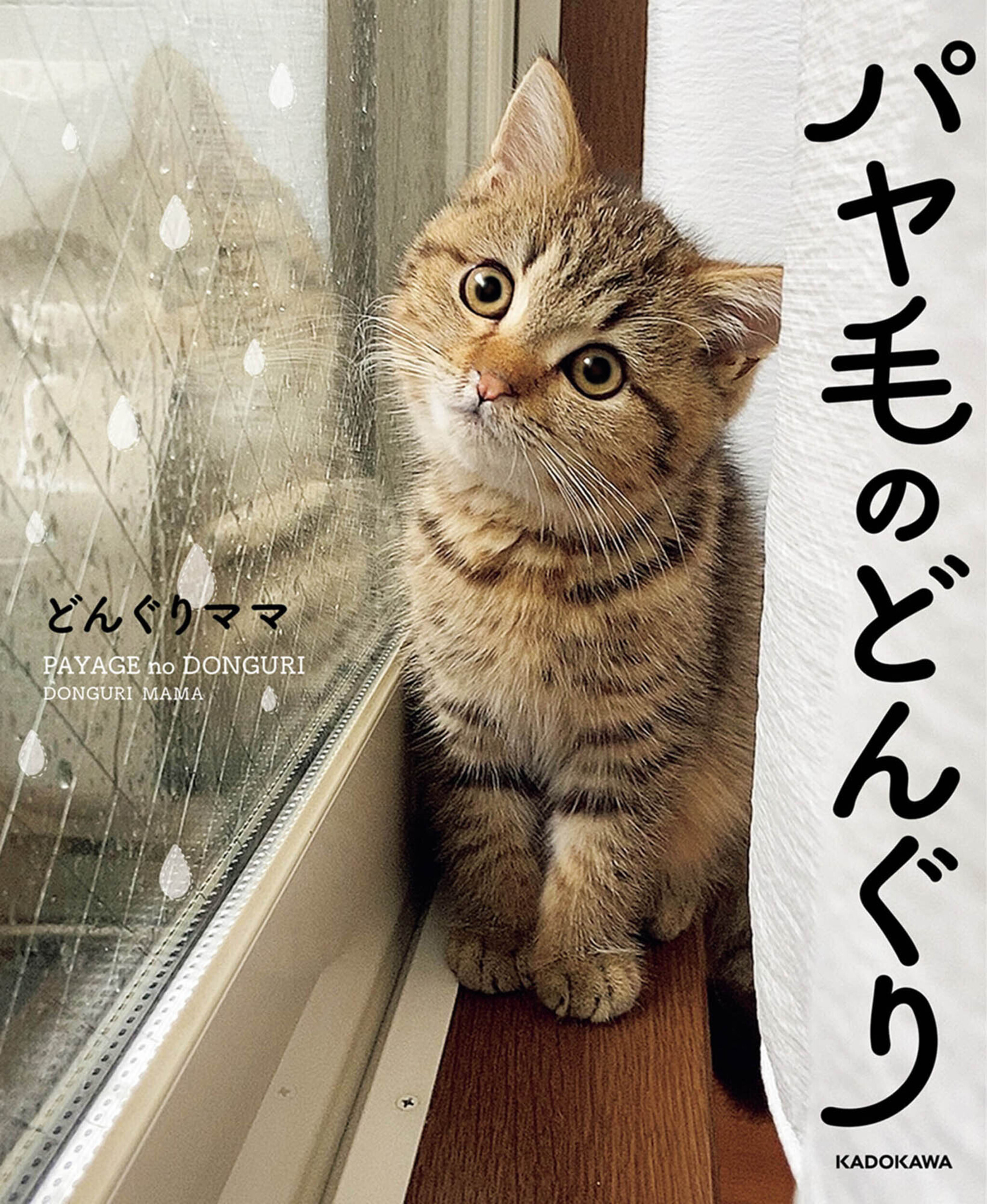 サムネイル画像1
