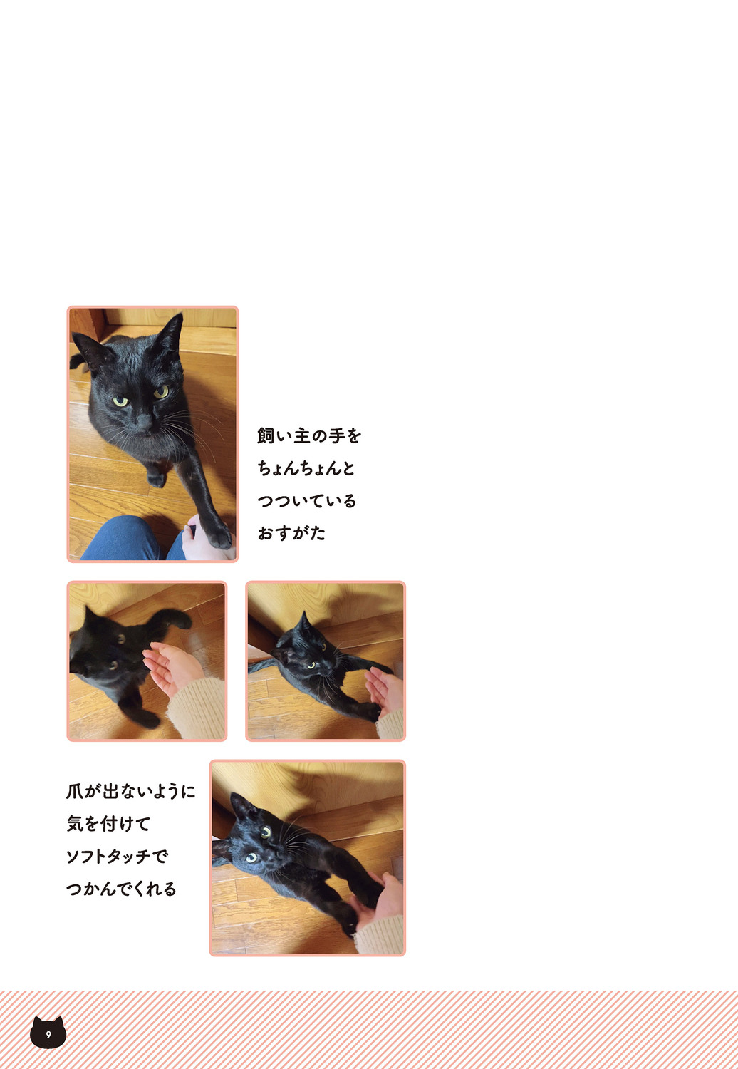 サムネイル画像5