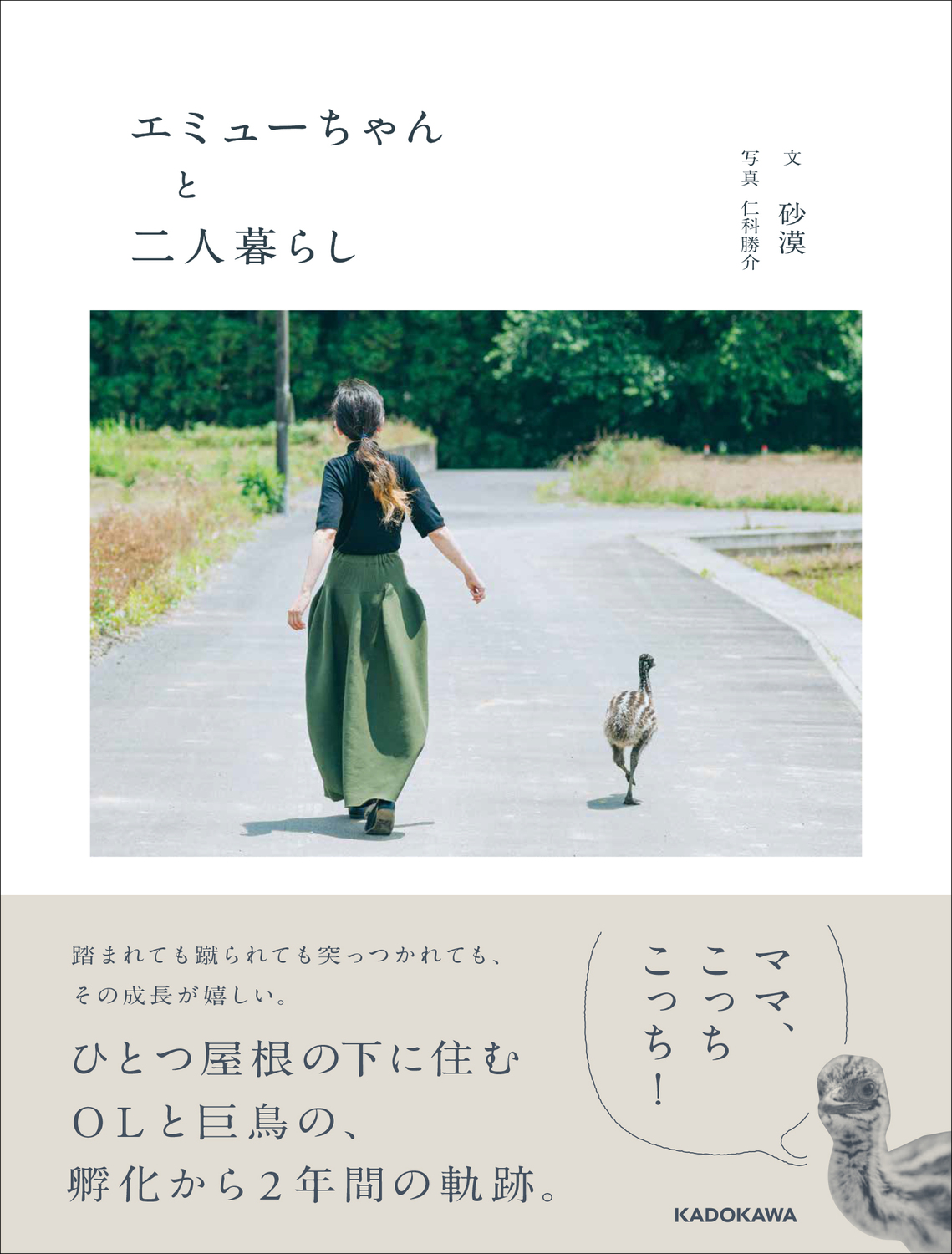 メイン画像