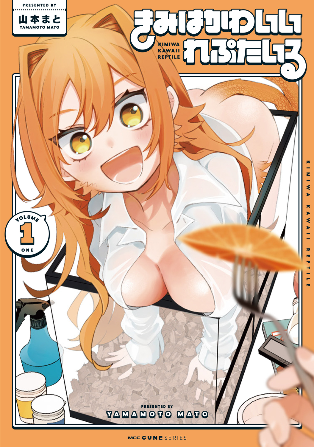 メイン画像