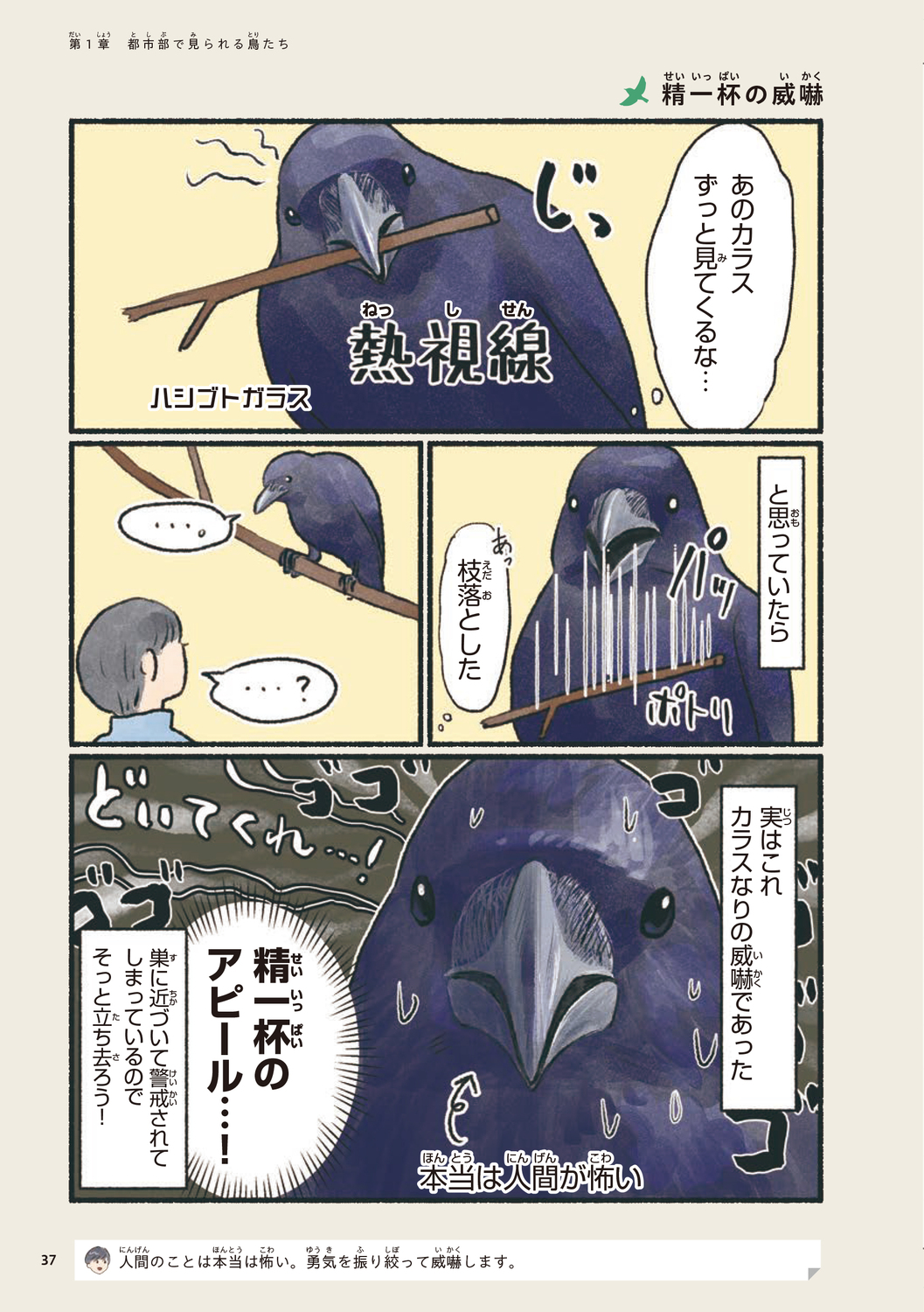サムネイル画像3