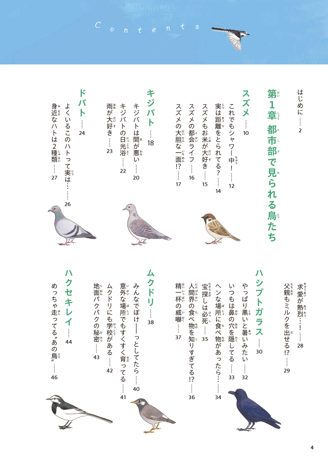 サムネイル画像6
