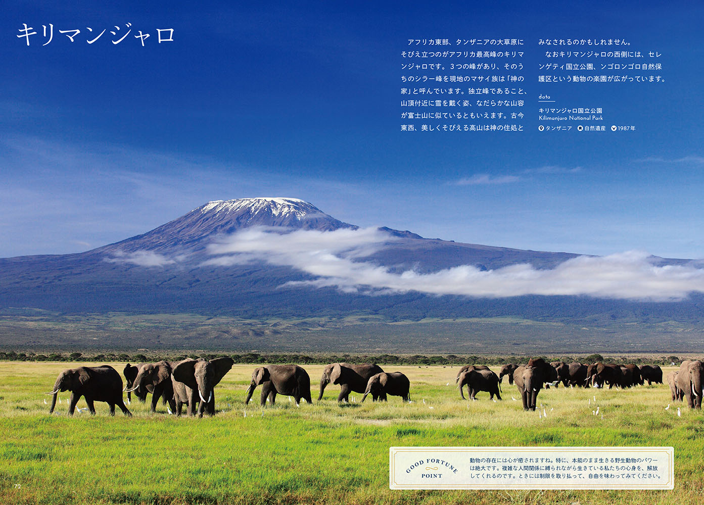 サムネイル画像5