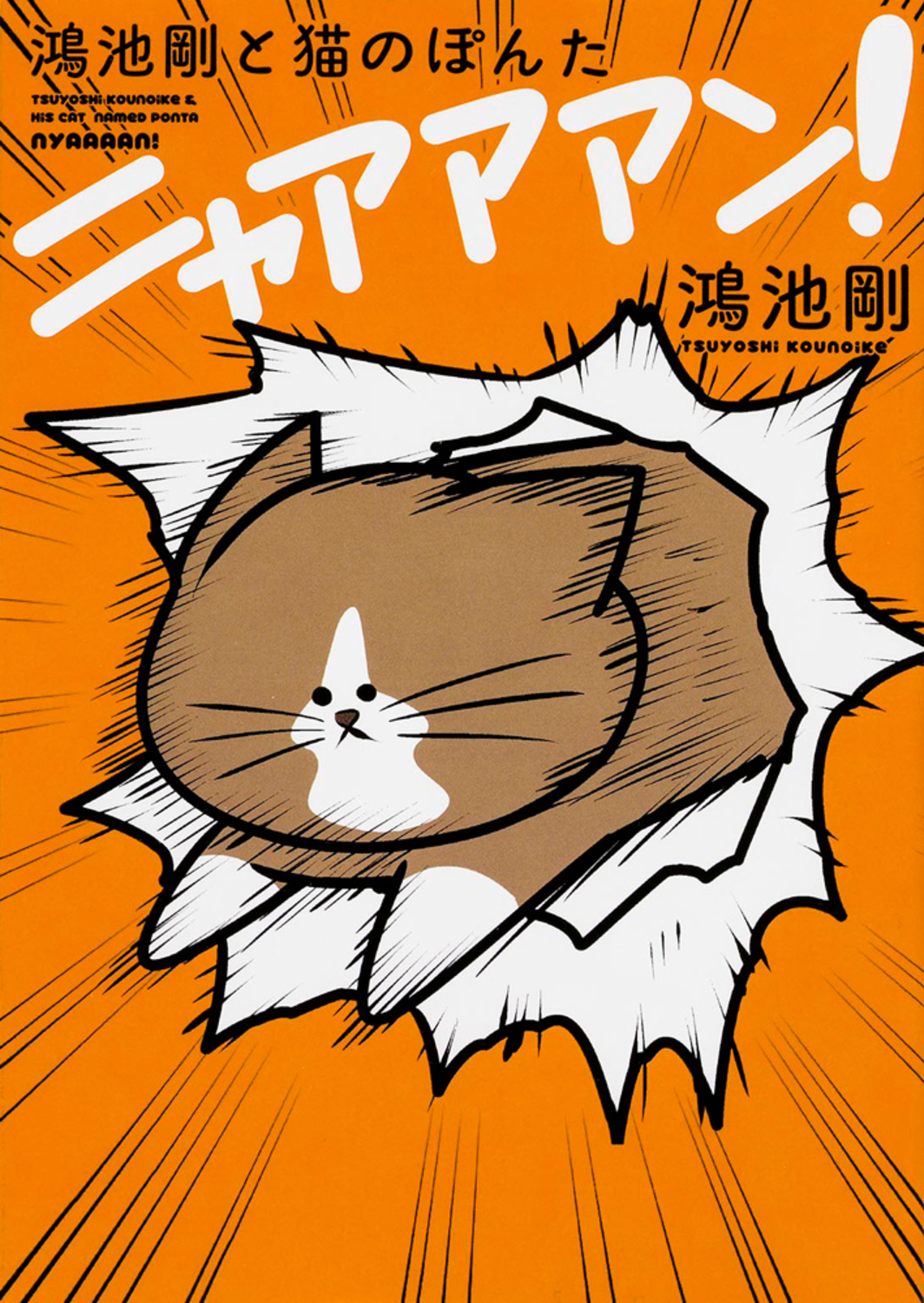 メイン画像