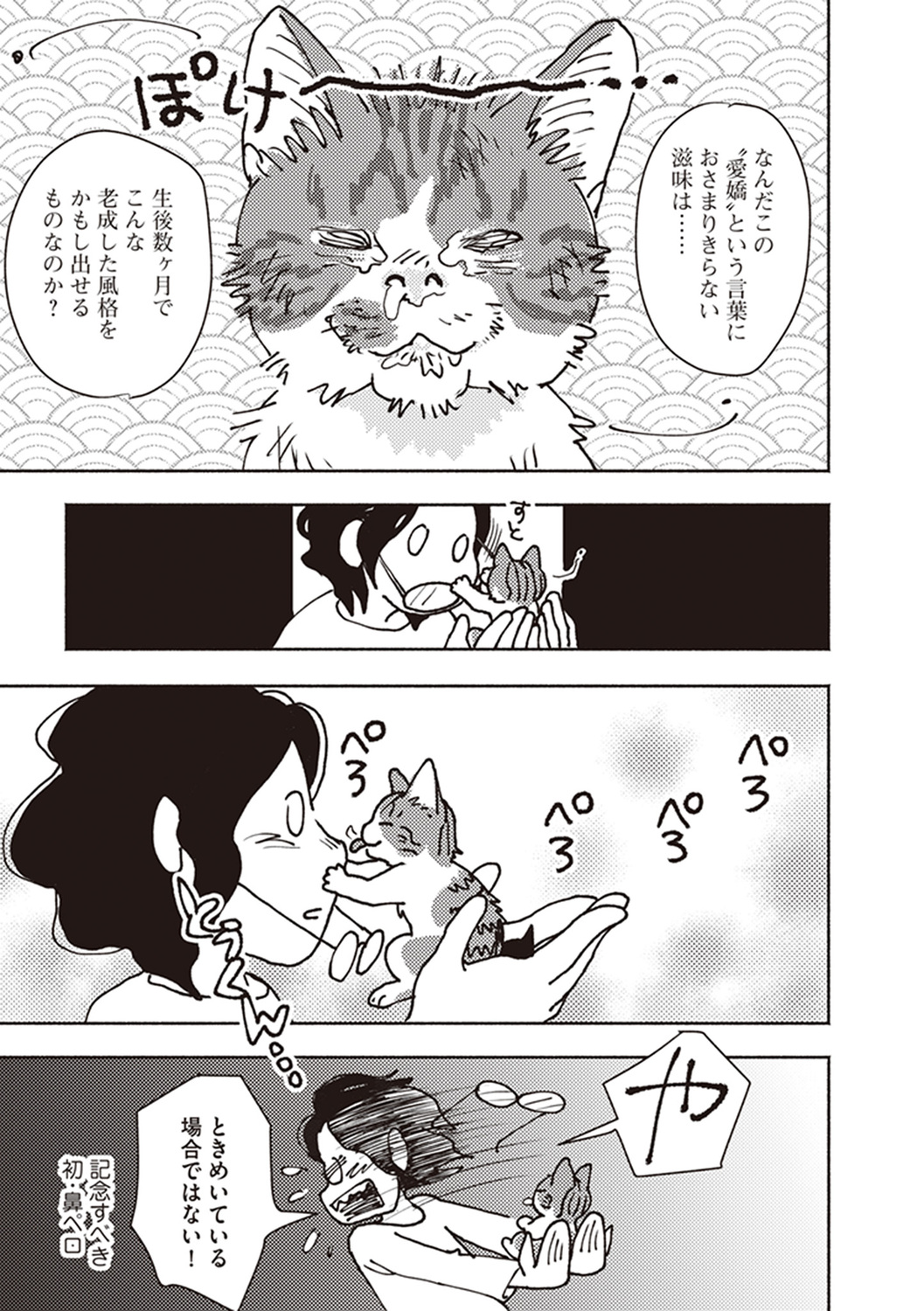 サムネイル画像4