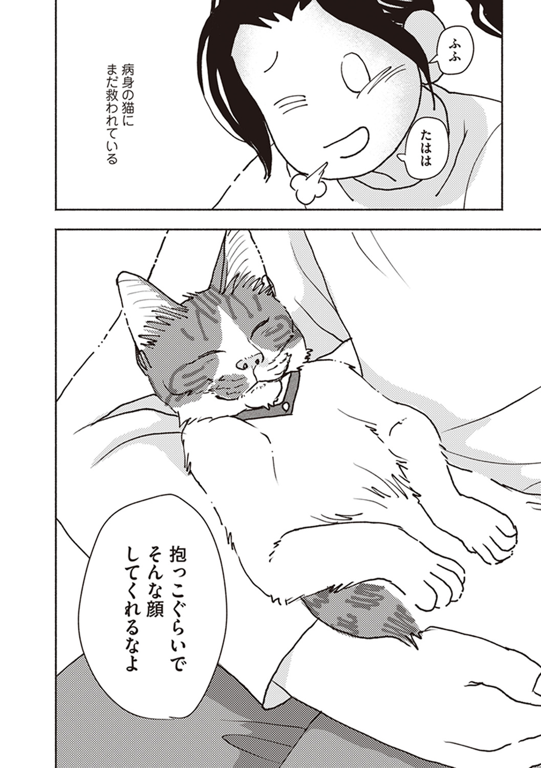 サムネイル画像6