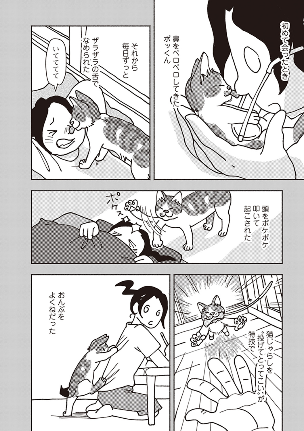 サムネイル画像8