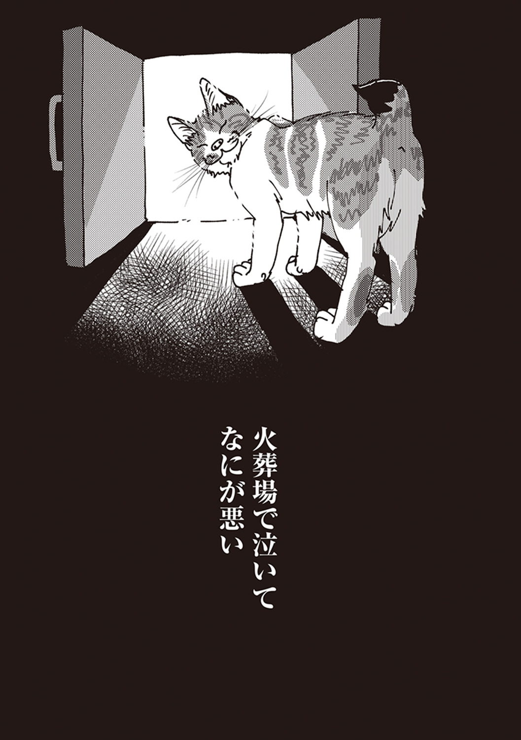サムネイル画像9