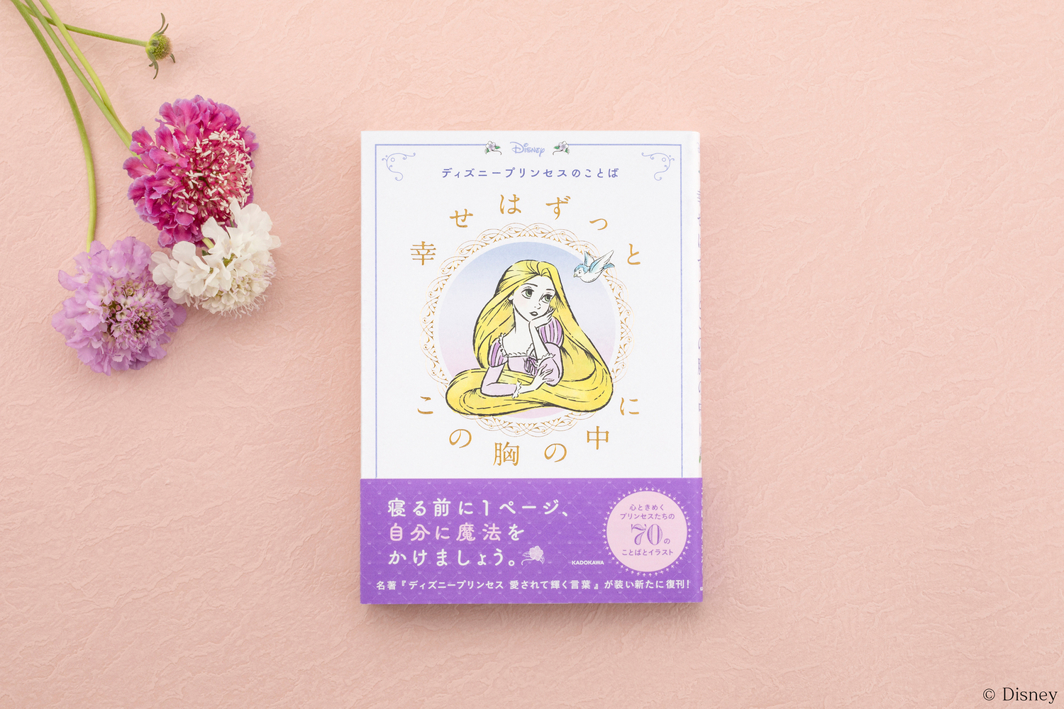 サムネイル画像2