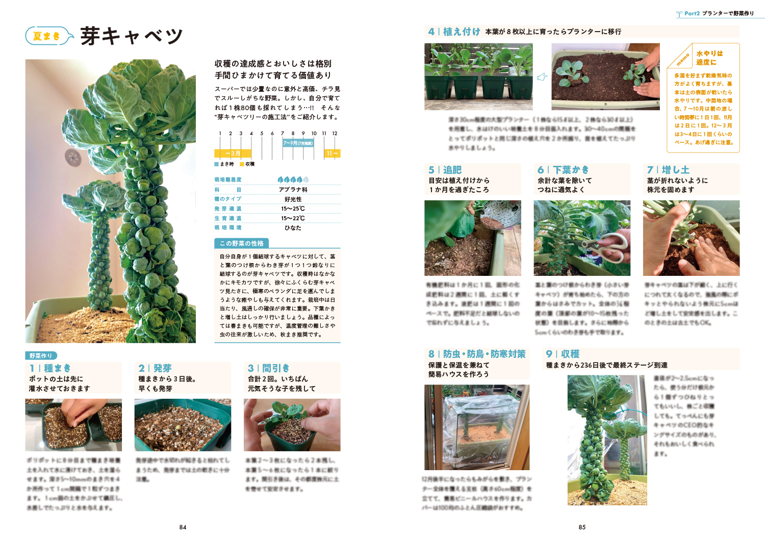 サムネイル画像5