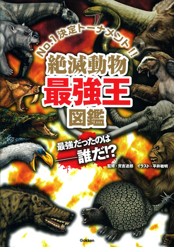 メイン画像