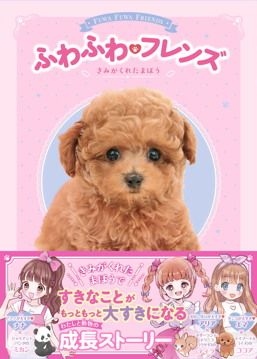 メイン画像