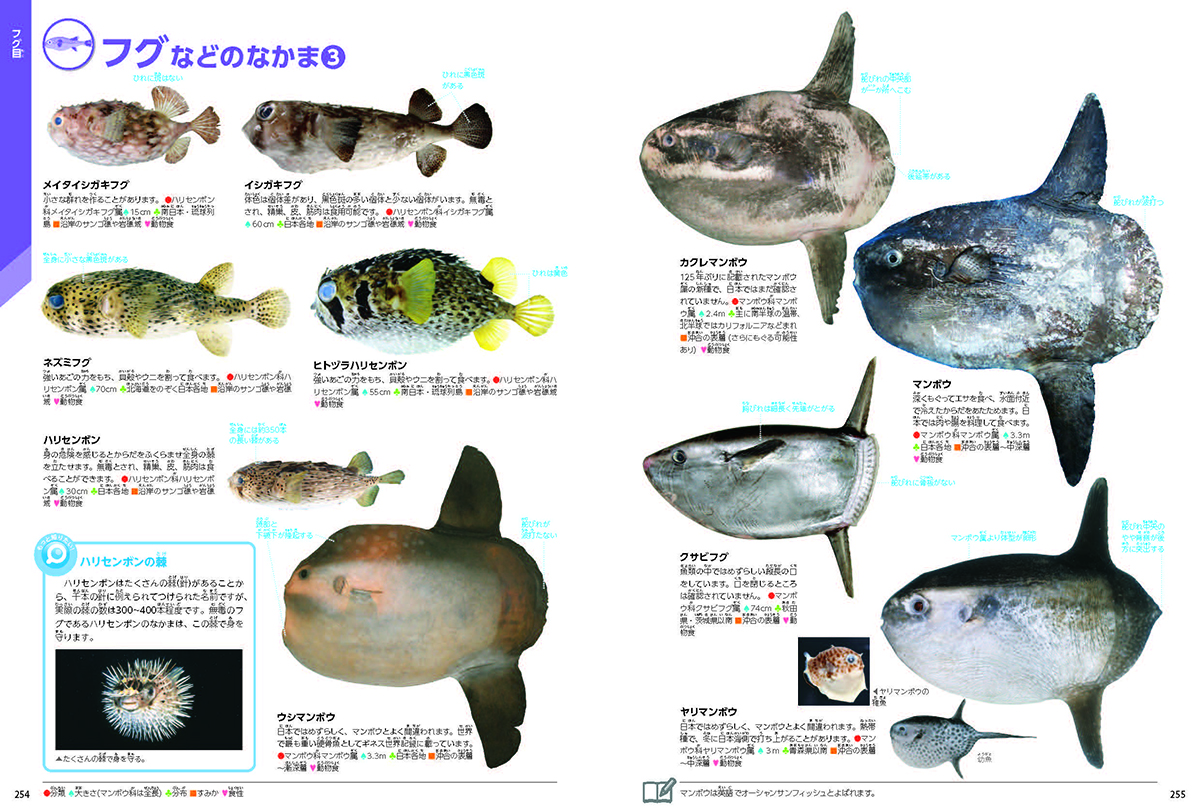 サムネイル画像2