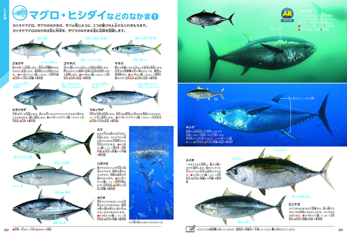 サムネイル画像3