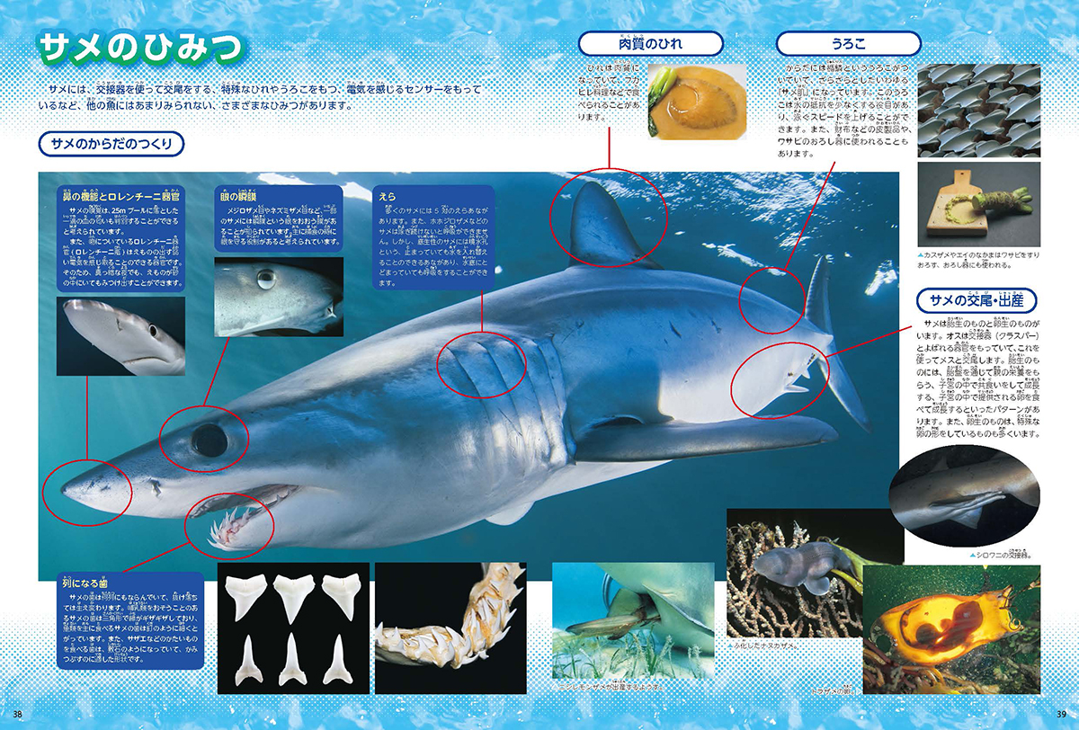 サムネイル画像4